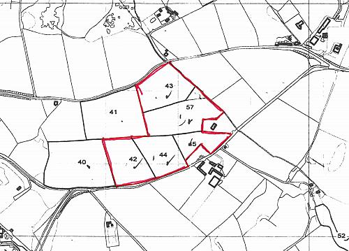 23 Acres Agricultural Lands  Struell Wells Road, Downpatrick 