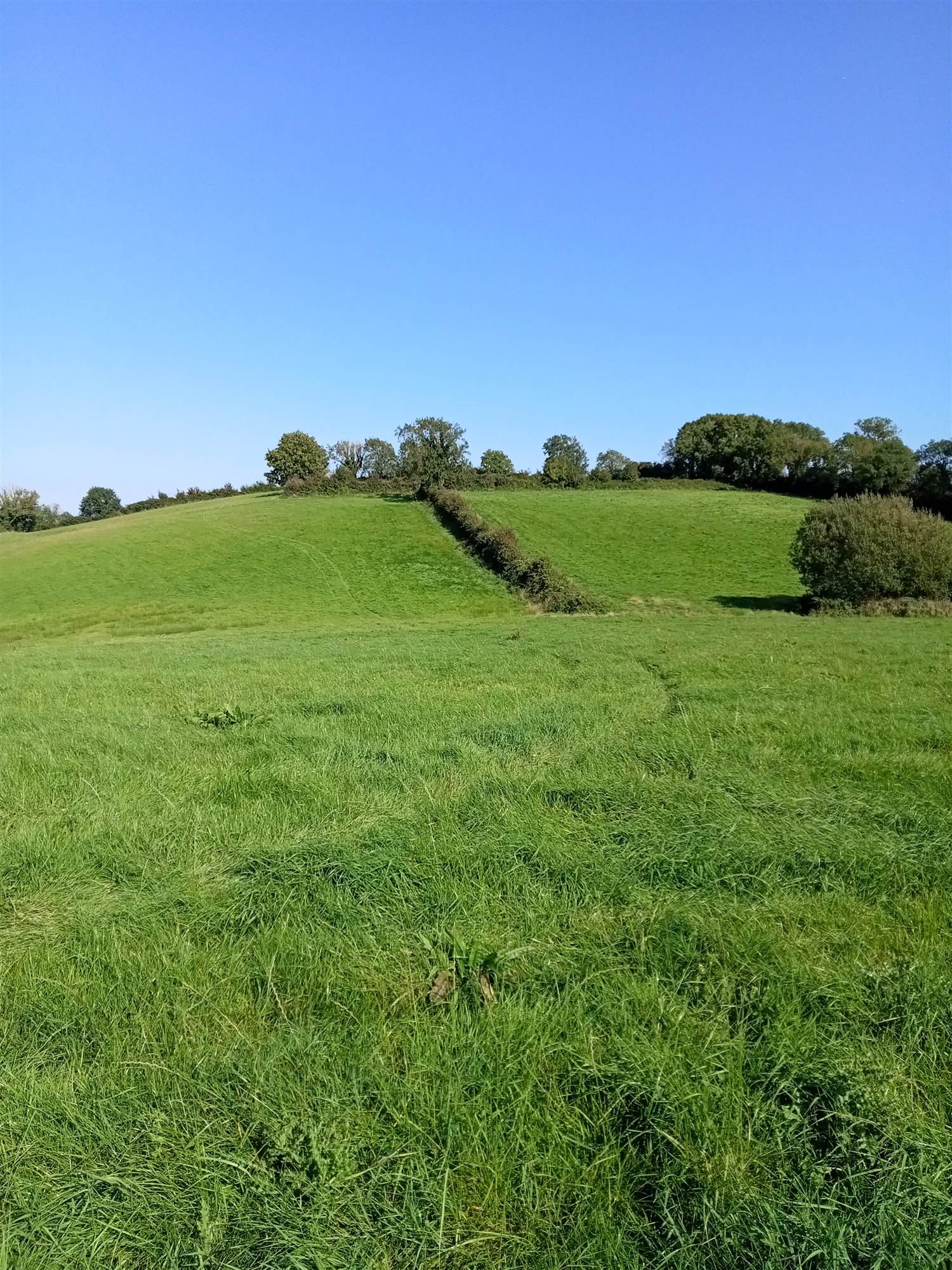 19 Acres of Agricultural Land  Strangford Road